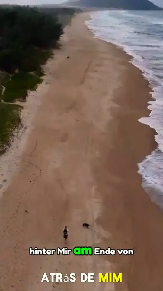 Florianópolis Strand Moçambique Brasilien
